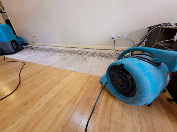 Professional Burst Pipe Water Damage technician working in Lacarne, OH